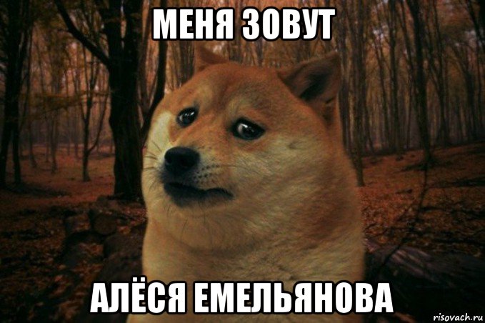 меня зовут алёся емельянова, Мем SAD DOGE