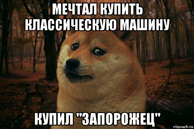 мечтал купить классическую машину купил "запорожец", Мем SAD DOGE