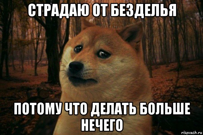 страдаю от безделья потому что делать больше нечего, Мем SAD DOGE