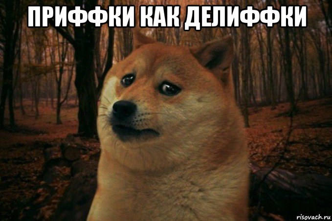 приффки как делиффки , Мем SAD DOGE