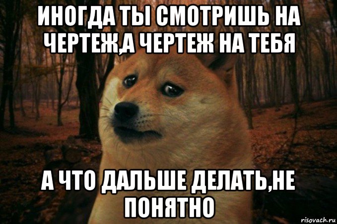 иногда ты смотришь на чертеж,а чертеж на тебя а что дальше делать,не понятно, Мем SAD DOGE