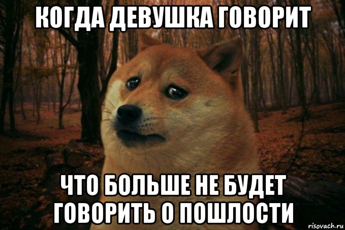 когда девушка говорит что больше не будет говорить о пошлости, Мем SAD DOGE