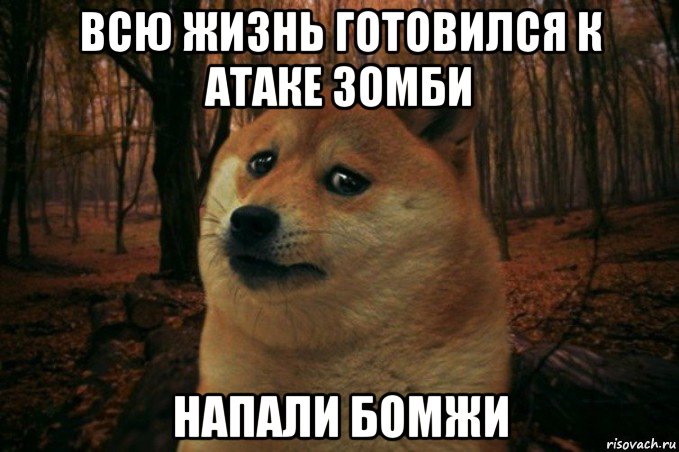 всю жизнь готовился к атаке зомби напали бомжи, Мем SAD DOGE