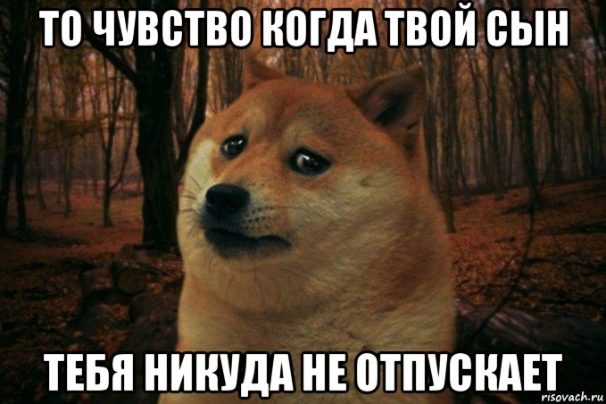 то чувство когда твой сын тебя никуда не отпускает, Мем SAD DOGE