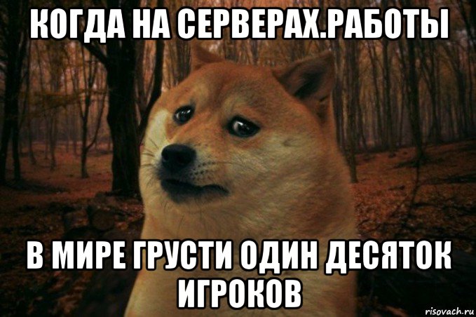 когда на серверах.работы в мире грусти один десяток игроков, Мем SAD DOGE