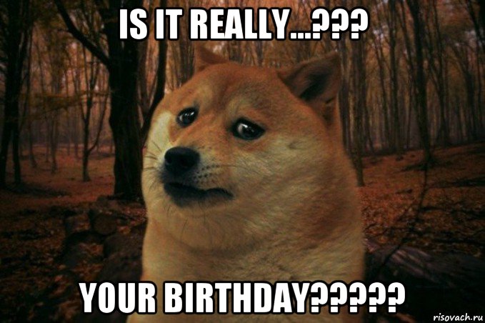 is it really...??? your birthday?????, Мем SAD DOGE