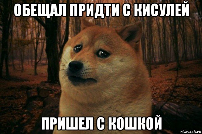 обещал придти с кисулей пришел с кошкой, Мем SAD DOGE