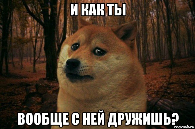 и как ты вообще с ней дружишь?, Мем SAD DOGE