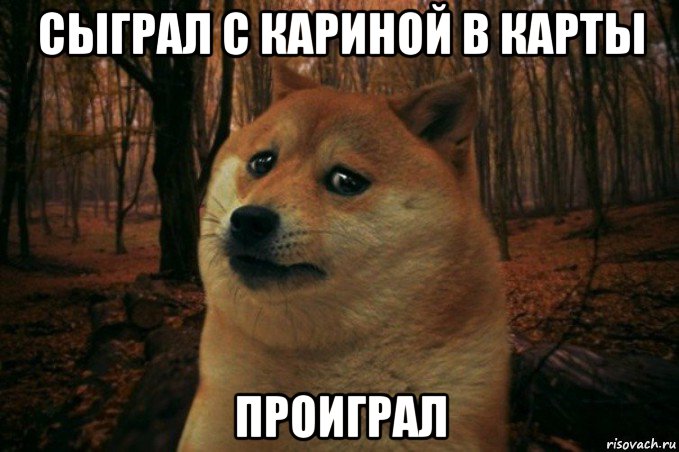 сыграл с кариной в карты проиграл, Мем SAD DOGE