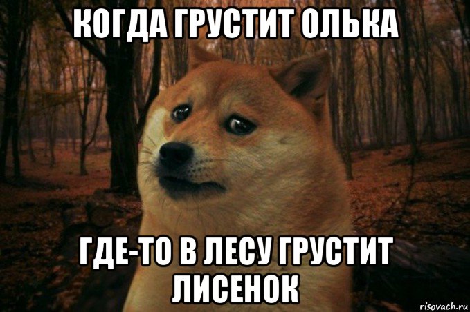 когда грустит олька где-то в лесу грустит лисенок, Мем SAD DOGE