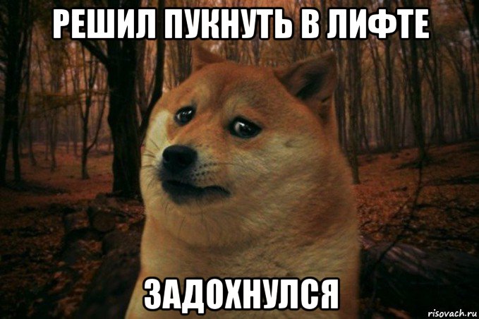 решил пукнуть в лифте задохнулся, Мем SAD DOGE