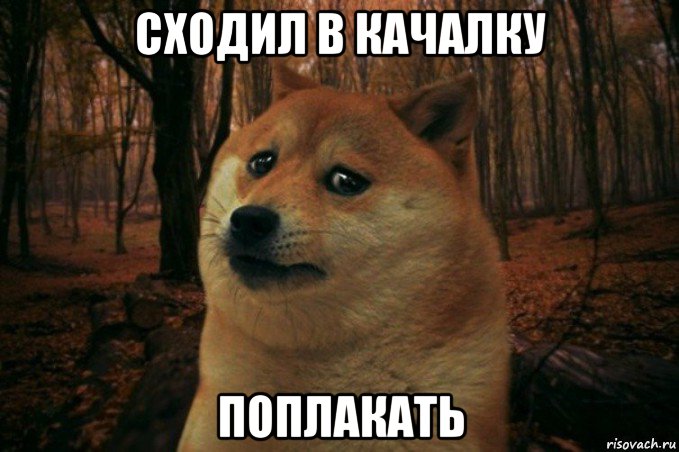 сходил в качалку поплакать, Мем SAD DOGE