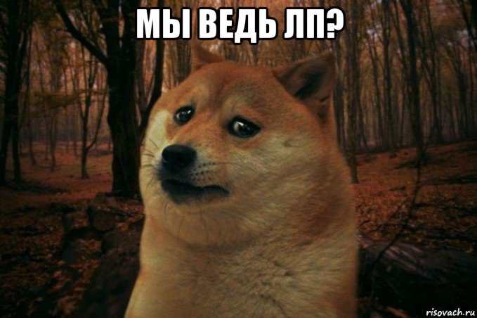 мы ведь лп? , Мем SAD DOGE