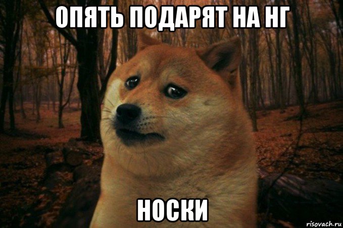 опять подарят на нг носки, Мем SAD DOGE