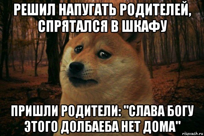 решил напугать родителей, спрятался в шкафу пришли родители: "слава богу этого долбаеба нет дома", Мем SAD DOGE