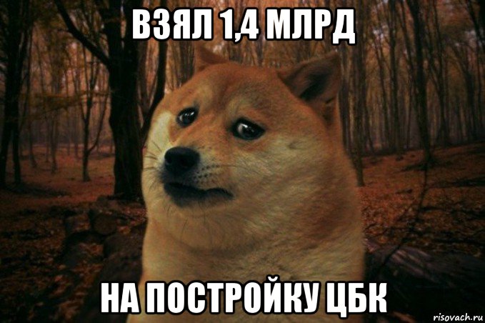 взял 1,4 млрд на постройку цбк, Мем SAD DOGE