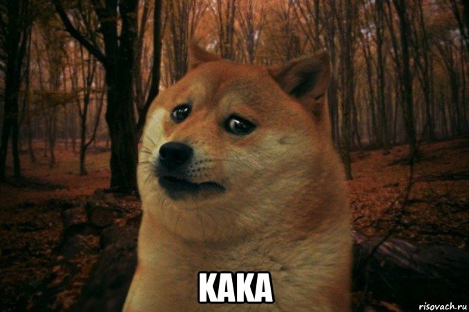  kaka, Мем SAD DOGE