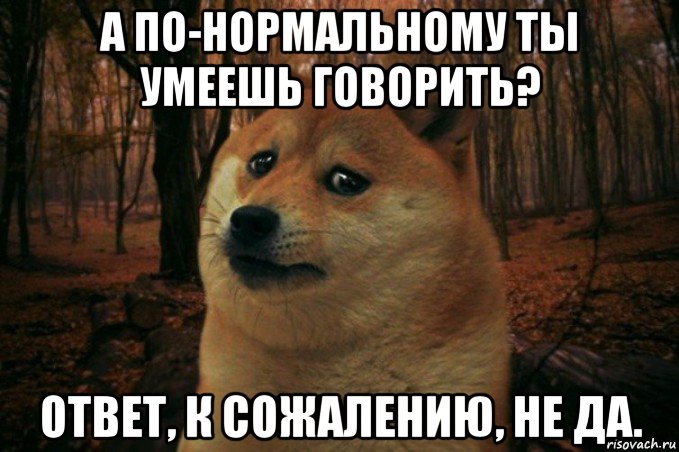 а по-нормальному ты умеешь говорить? ответ, к сожалению, не да., Мем SAD DOGE