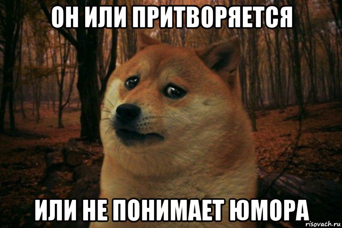 он или притворяется или не понимает юмора, Мем SAD DOGE