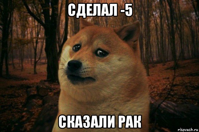 сделал -5 сказали рак, Мем SAD DOGE