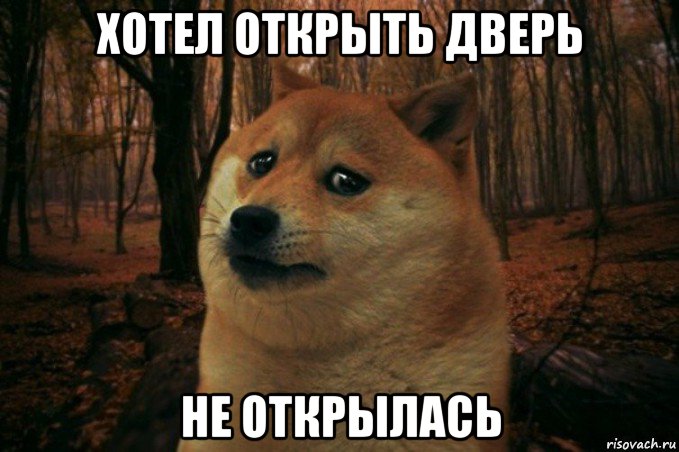 хотел открыть дверь не открылась, Мем SAD DOGE