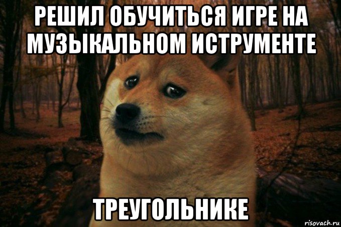 решил обучиться игре на музыкальном иструменте треугольнике, Мем SAD DOGE