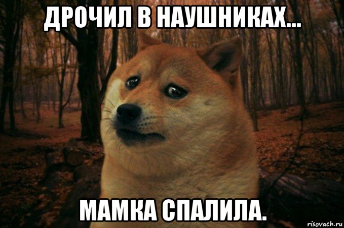 дрочил в наушниках... мамка спалила., Мем SAD DOGE