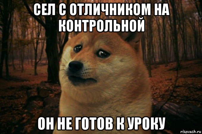 сел с отличником на контрольной он не готов к уроку, Мем SAD DOGE