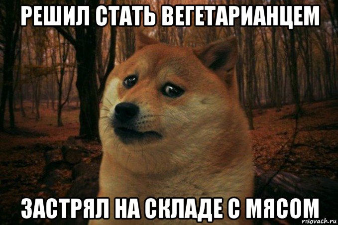 решил стать вегетарианцем застрял на складе с мясом, Мем SAD DOGE