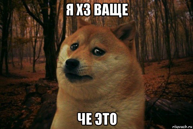 я хз ваще че это, Мем SAD DOGE