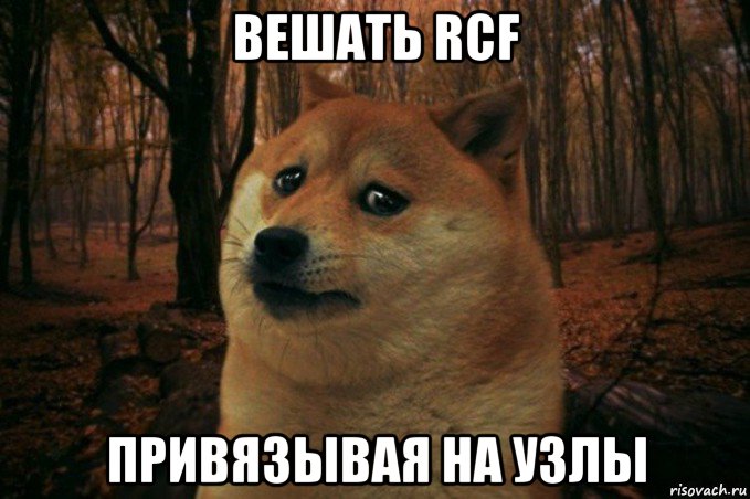 вешать rcf привязывая на узлы, Мем SAD DOGE