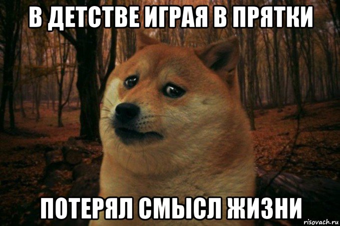 в детстве играя в прятки потерял смысл жизни, Мем SAD DOGE