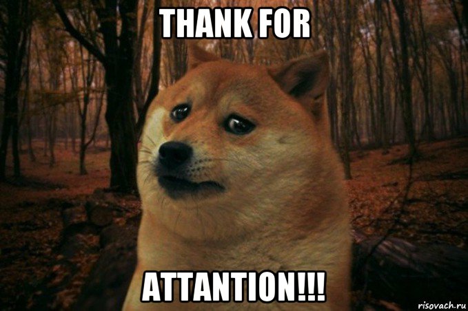 thank for attantion!!!, Мем SAD DOGE