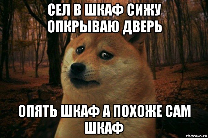 сел в шкаф сижу опкрываю дверь опять шкаф а похоже сам шкаф, Мем SAD DOGE