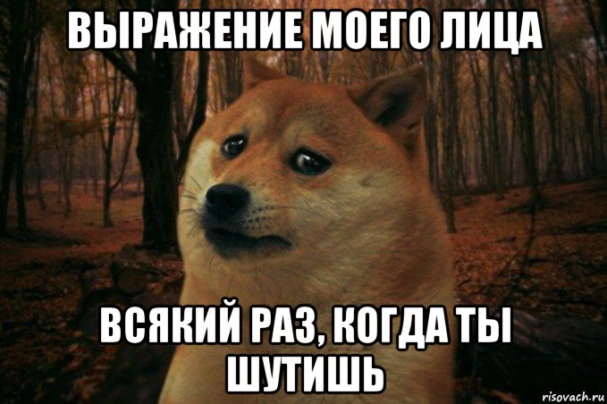 выражение моего лица всякий раз, когда ты шутишь, Мем SAD DOGE