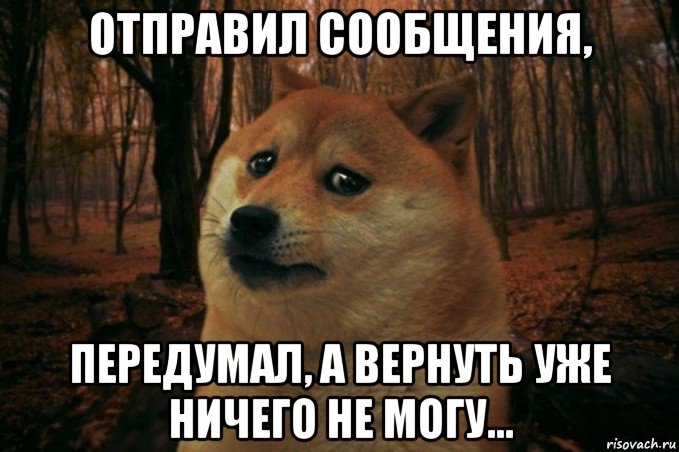 отправил сообщения, передумал, а вернуть уже ничего не могу..., Мем SAD DOGE