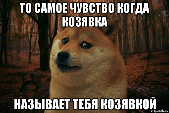 то самое чувство когда козявка называет тебя козявкой, Мем SAD DOGE