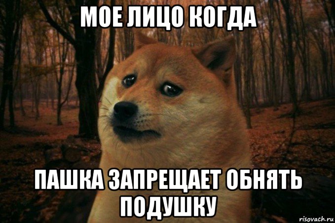 мое лицо когда пашка запрещает обнять подушку, Мем SAD DOGE