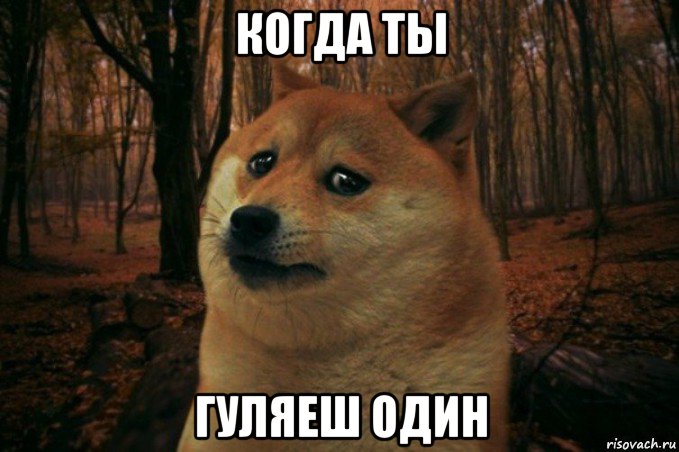 когда ты гуляеш один, Мем SAD DOGE