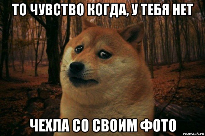 то чувство когда, у тебя нет чехла со своим фото, Мем SAD DOGE