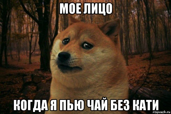 мое лицо когда я пью чай без кати, Мем SAD DOGE