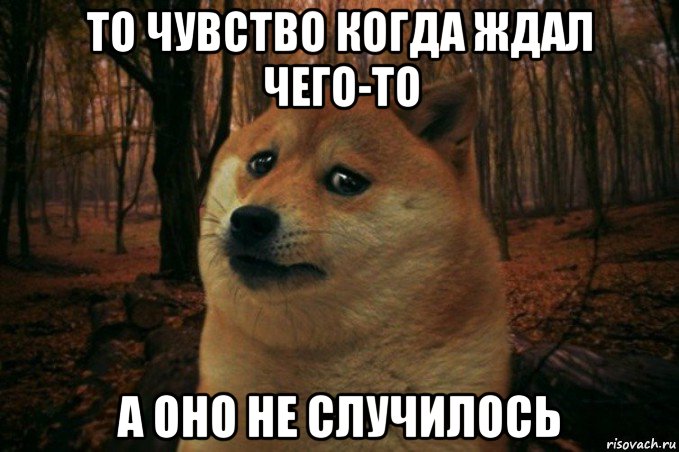 то чувство когда ждал чего-то а оно не случилось, Мем SAD DOGE