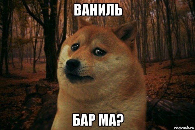 ваниль бар ма?, Мем SAD DOGE