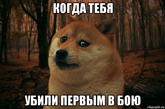 когда тебя убили первым в бою, Мем SAD DOGE