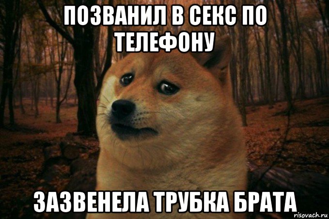 позванил в секс по телефону зазвенела трубка брата, Мем SAD DOGE