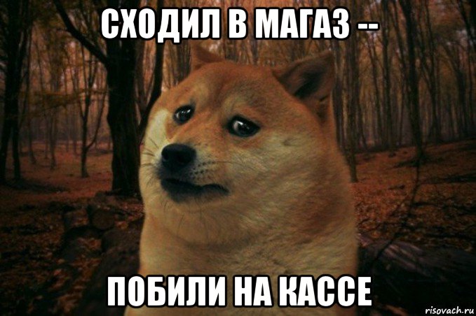 сходил в магаз -- побили на кассе, Мем SAD DOGE