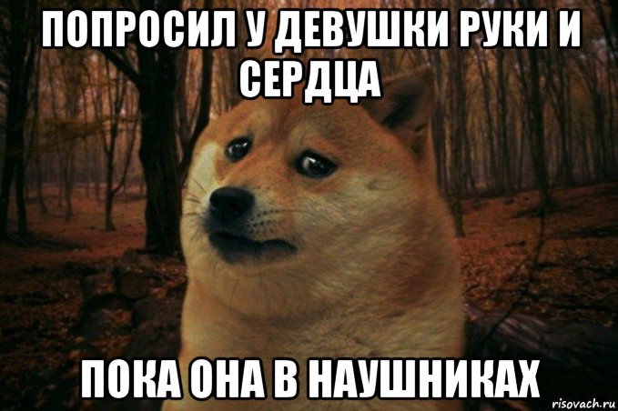 попросил у девушки руки и сердца пока она в наушниках, Мем SAD DOGE