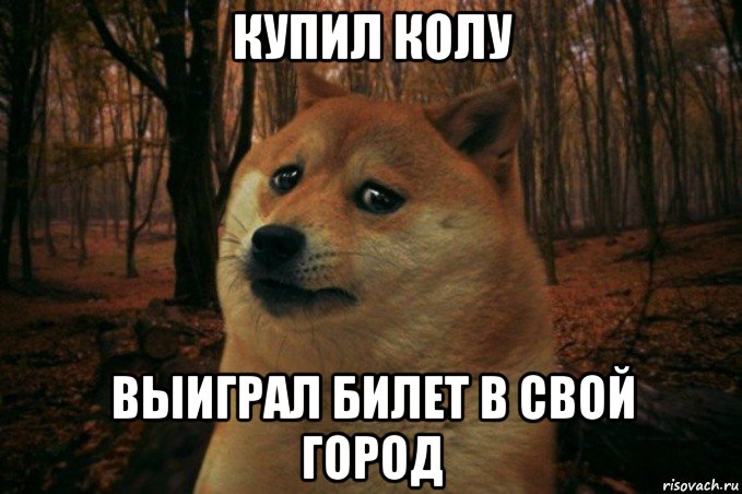 купил колу выиграл билет в свой город, Мем SAD DOGE