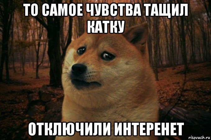 то самое чувства тащил катку отключили интеренет, Мем SAD DOGE