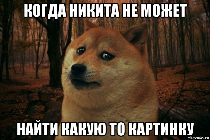 когда никита не может найти какую то картинку, Мем SAD DOGE